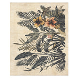 Tropical Plants in 8' x 10' Size