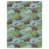 Bears Catching Salmon in 9' x 12' Size