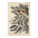 Tropical Plants in 4' x 6' Size