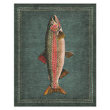 Rainbow Trout in 10x8ft Size