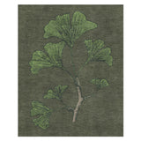 Ginko Green in 8' x 10' Size