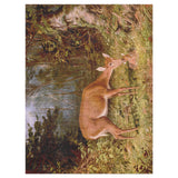 Deer and Fawn by Alfred Fitzwilliam in 9' x 12' Size