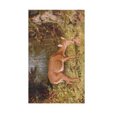 Deer and Fawn by Alfred Fitzwilliam in 1.5' x 2.5' Size