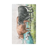 Prize Fat Cattle in 18x30in Size