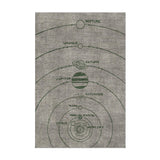 Solar System Taupe & Forest in 2' x 3' Size
