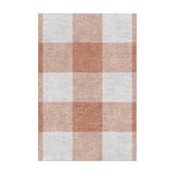 Buffalo Plaid Light Terracotta in 2' x 3' Size