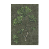 Ginko Green in 2' x 3' Size