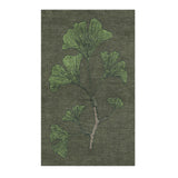 Ginko Green in 3' x 5' Size