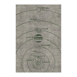 Solar System Taupe & Forest in 4' x 6' Size