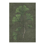 Ginko Green in 4' x 6' Size