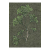 Ginko Green in 5' x 7' Size