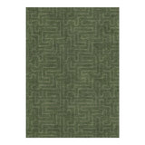 Terra Olive Green in 5' x 7' Size