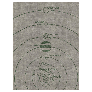 Solar System Taupe & Forest in 6' x 9' Size